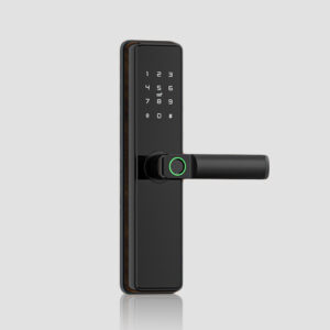 Cerradura Biométrica Smart WiFi de Vidrio Templado con Cámara